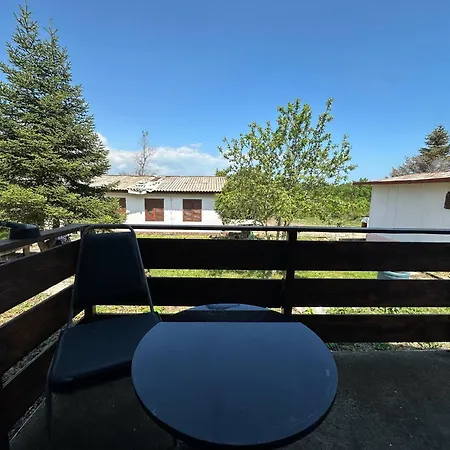 виктори Victory * 슈코르필로브치