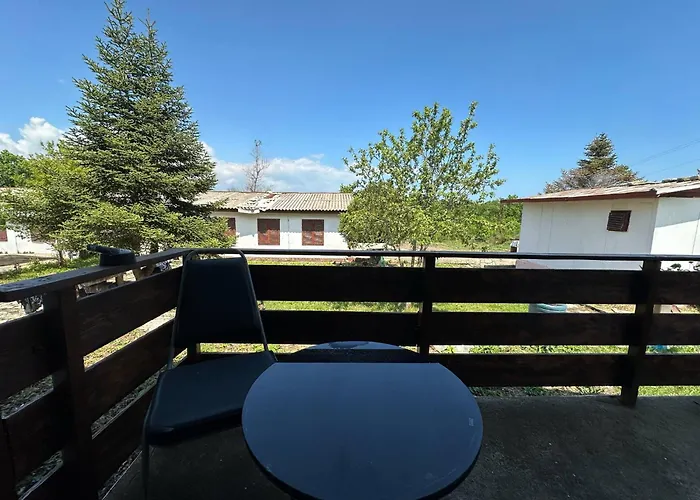 виктори Victory * Shkorpilovtsi